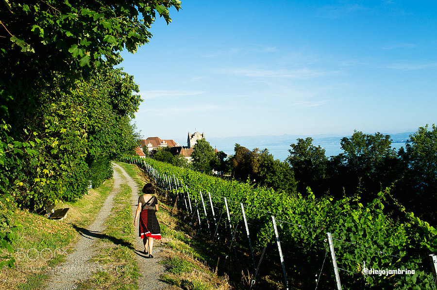 Paseando entre viñedos en Meersburg by Diego Jambrina (Elhombredemackintosh) on 500px.com