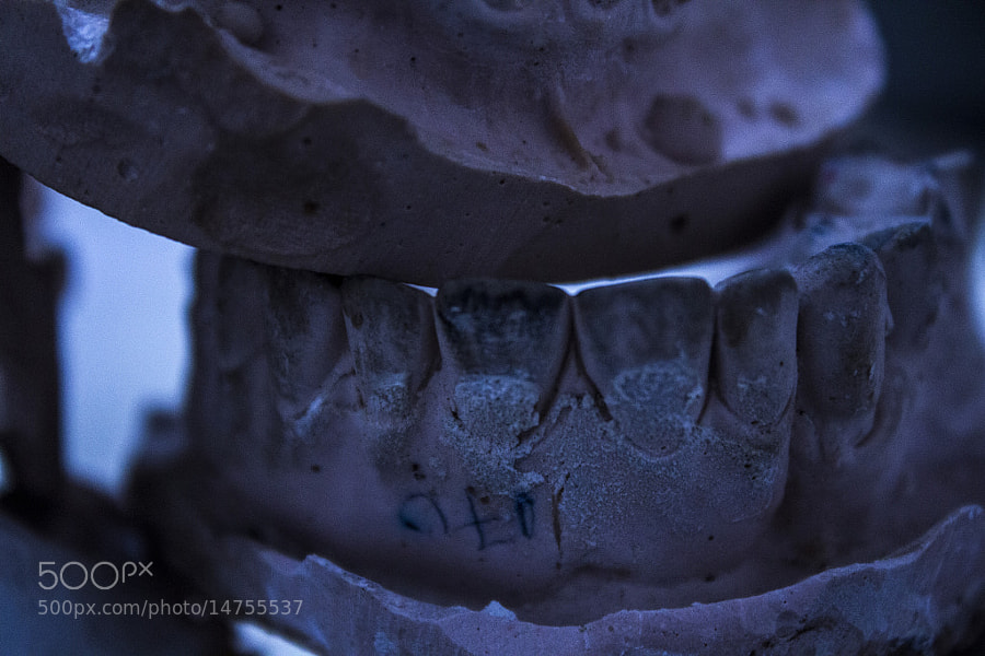Teeth by Norman Garcia (normanvsnorman) on 500px.com