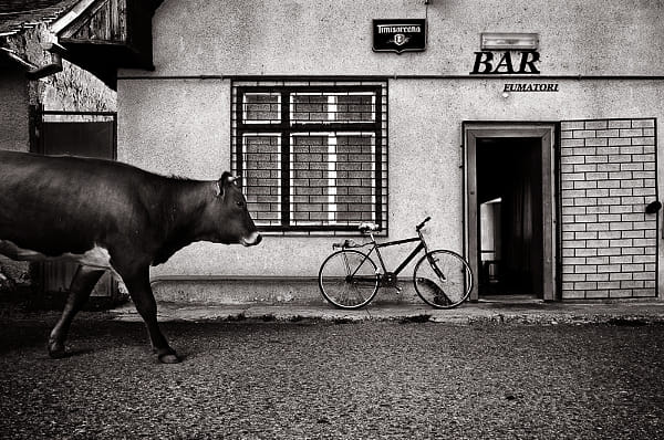 BAR by Guy Cohen (guy_santos)) on 500px.com