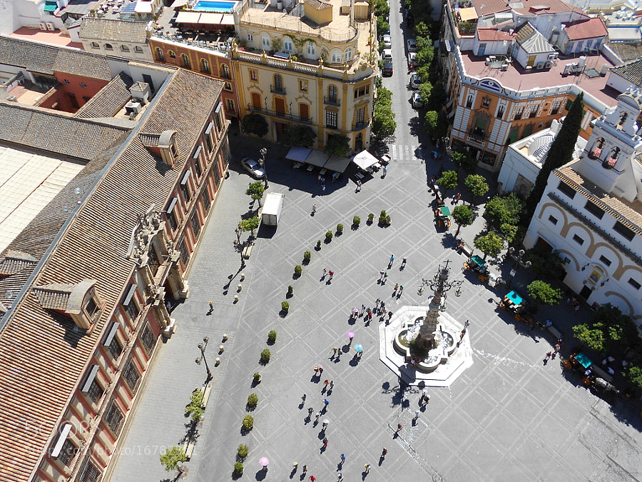plaza Virgen de los Reyes - Sevilla by Fabrizio Pivari (pivari)) on 500px.com