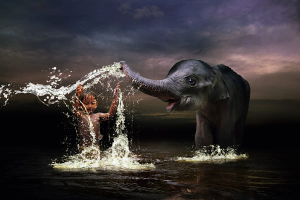 playing with elephant  by 3 Joko (3Joko)) on 500px.com