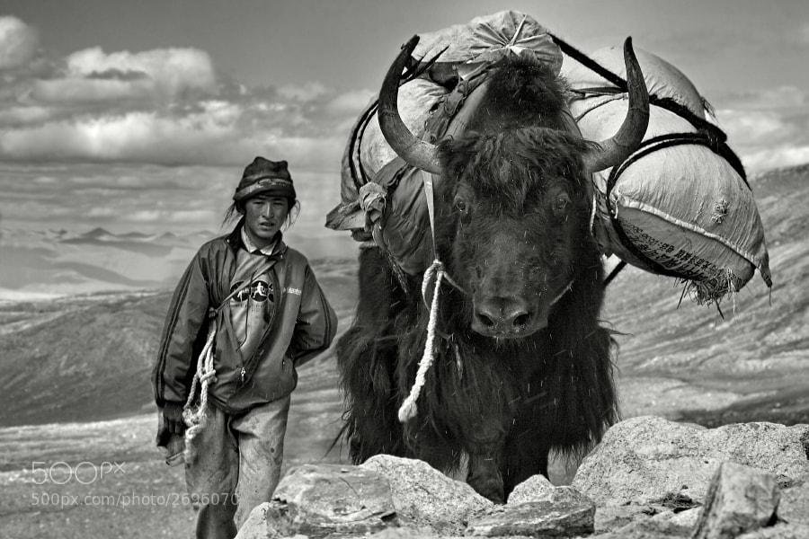 The yak man by Javier  Camacho Gimeno (JavierCamacho) on 500px.com