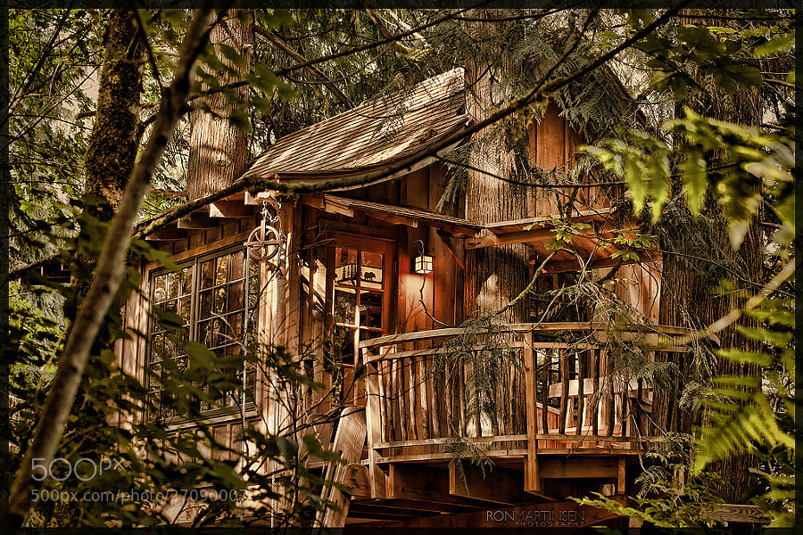 Treehouse by Ron Martinsen (ronmart) on 500px.com - Copyright ® Ron Martinsen - ALL RIGHTS RESERVED