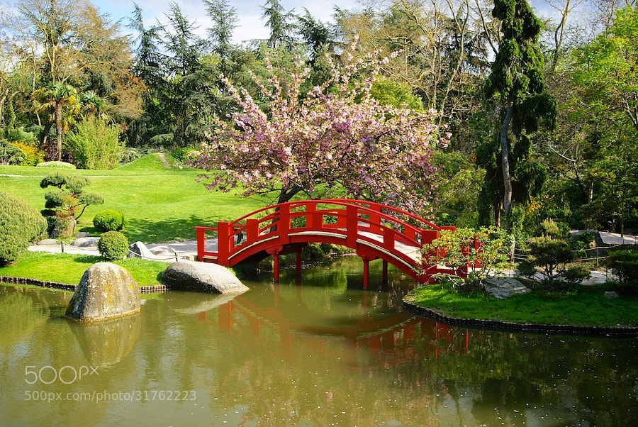 Japanese garden by wenmusic * (wenmusic)) on 500px.com