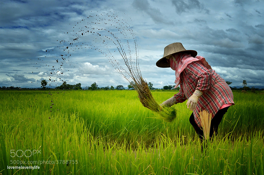 North of thailand by lovemelovemylife  on 500px.com