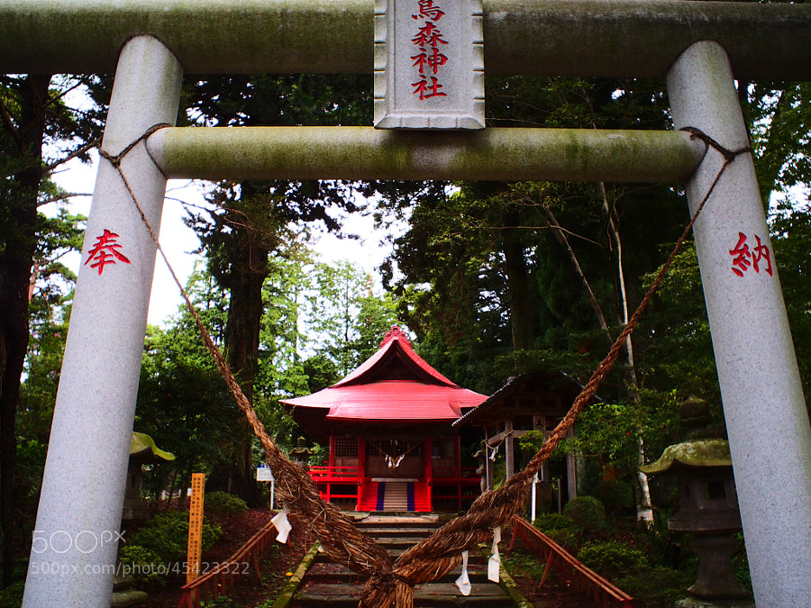 Shinto Shrine by Masatoshi Seki on 500px.com