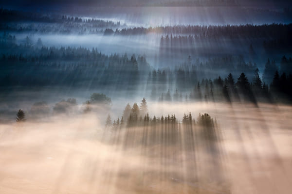 Rays by Marcin Sobas (MarcinSobas) on 500px.com