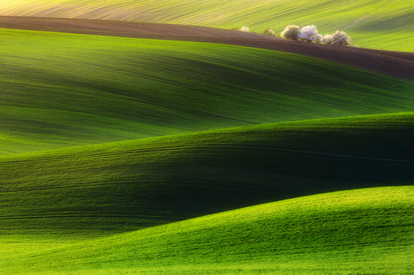 Green land  by Piotr Krol (baxteria)) on 500px.com