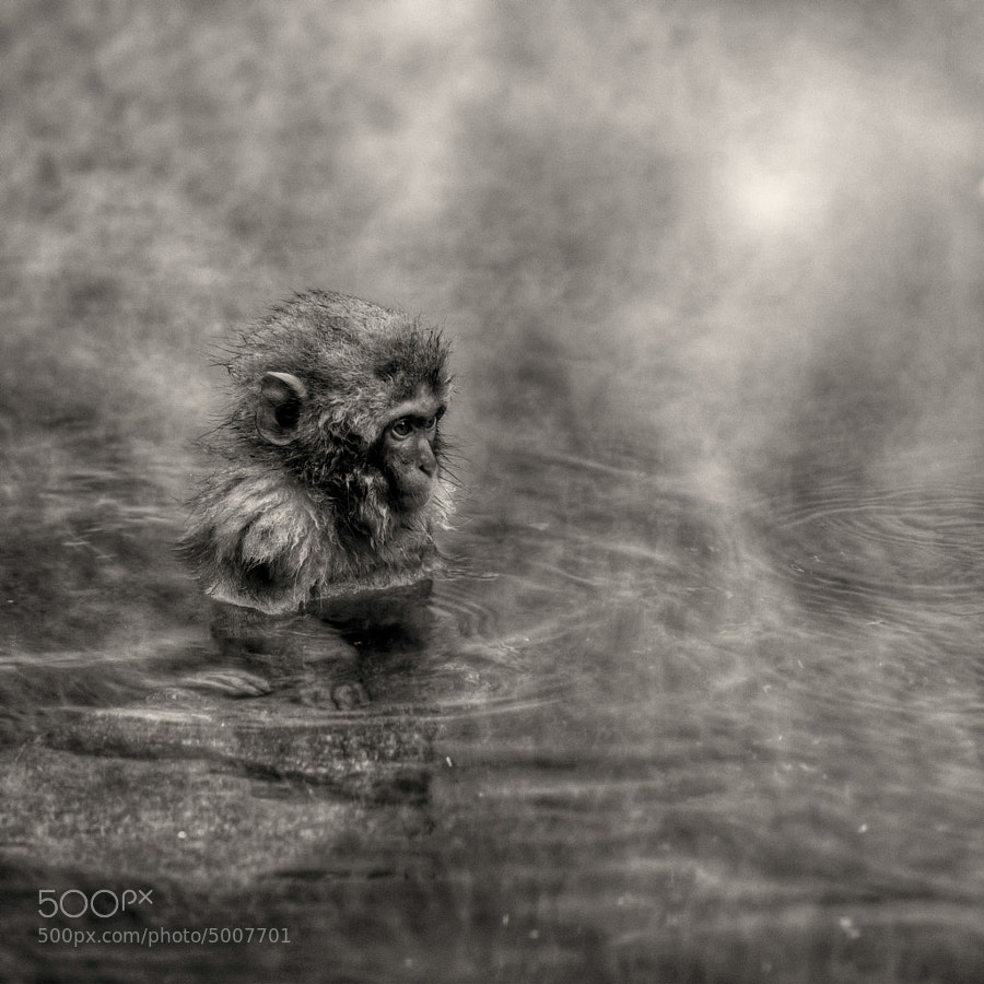 Solemn thought for a boy by regis boileau (thesouthernroute) on 500px.com