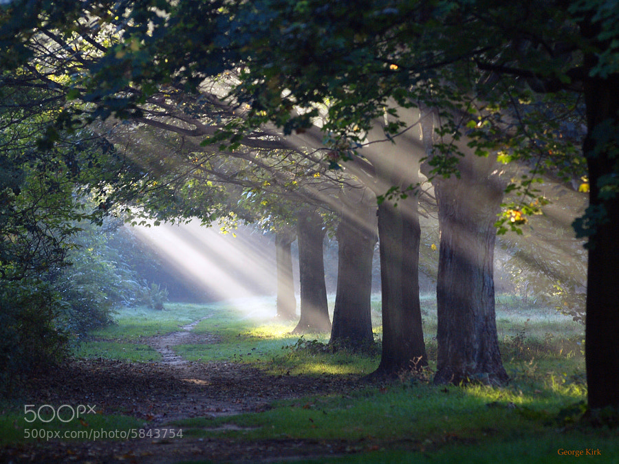Photograph Morning Sun by George Kirk on 500px