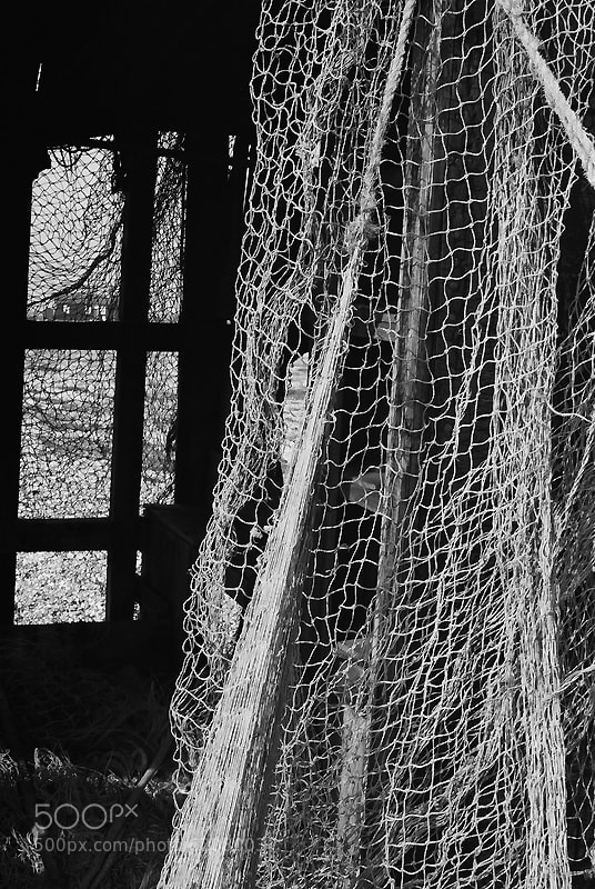 Nets by Peter Meade (pjmeade) on 500px.com