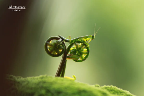 rate my bike by tustel  ico (dolphino) on 500px.com