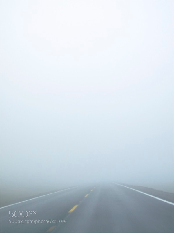 Newfoundland Fog