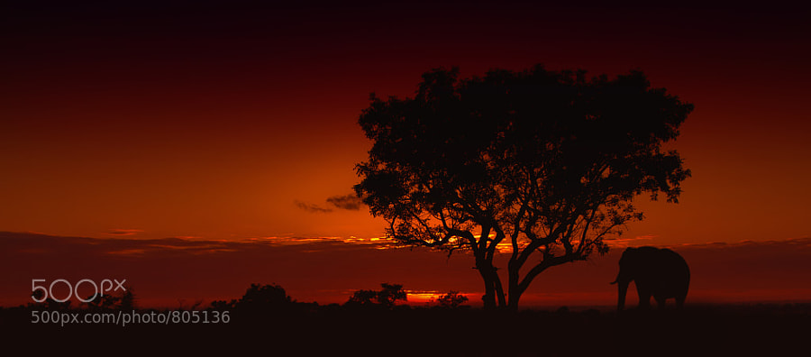 sunrise in africa