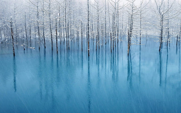 Blue Pond - The WallPaper for Apple Inc. by Kent Shiraishi (KentShiraishi) on 500px.com